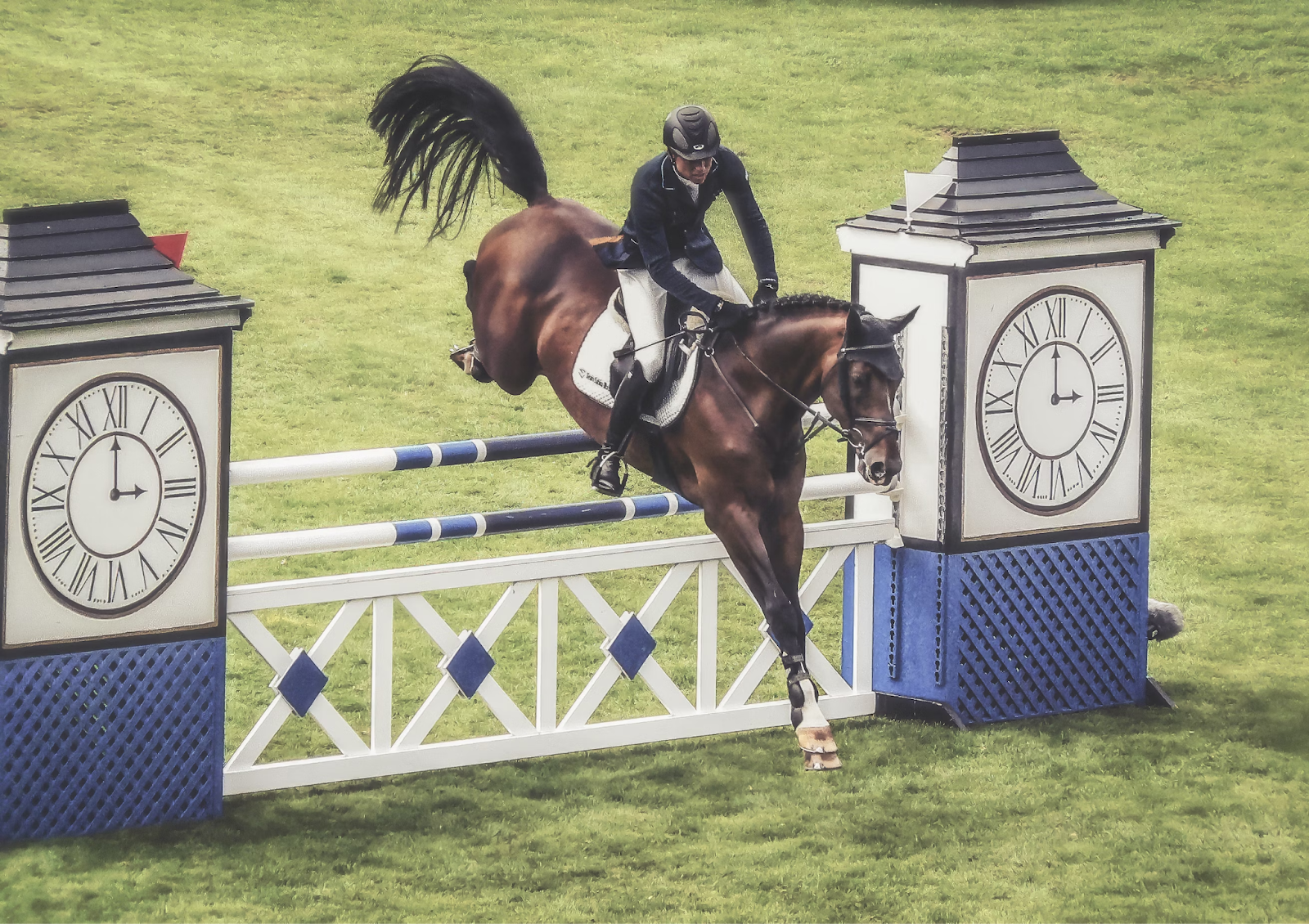 The Evolution of Equestrian Sports